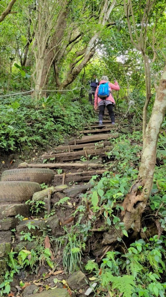 觀音山硬漢嶺步道_1900444