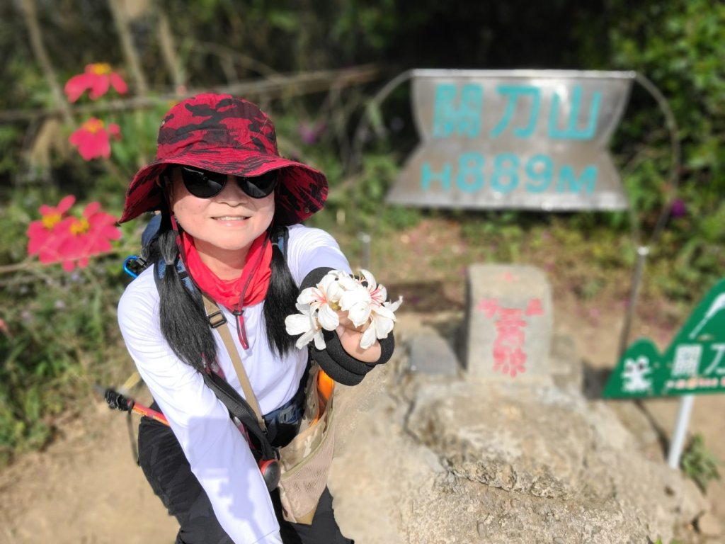 小百岳關刀山889m+銅鑼杭菊_1924023
