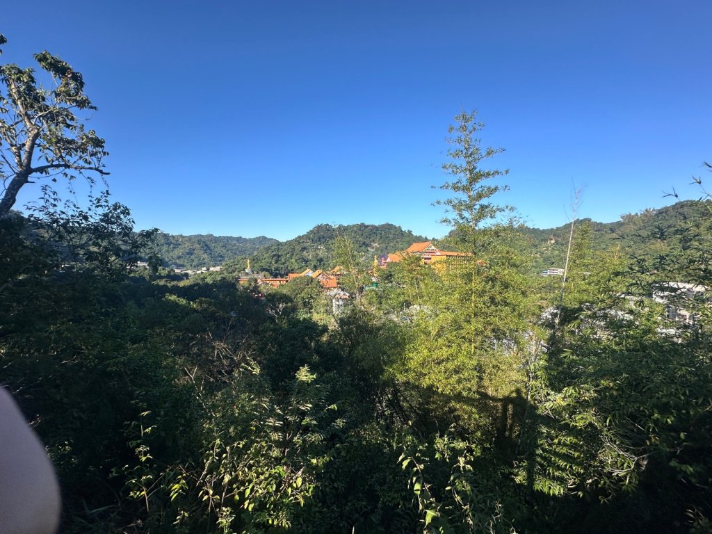 楓仔林步道、蝙蝠洞、護國清涼寺、草嶺步道_2663941