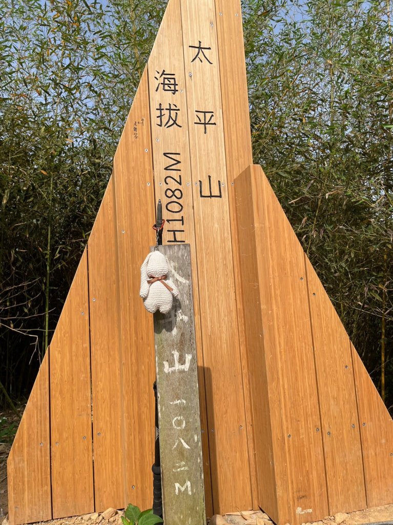 230416-小百岳#057 梨子腳山。18禁-竟能在茶樹上偶遇黑線黃尺蛾。美美兔O繞走成8字。_2117325