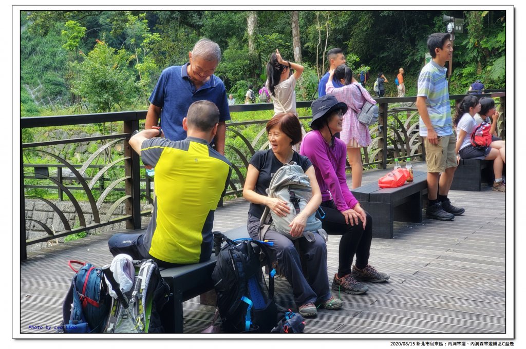 內洞林道、內洞森林遊樂區C型走_1071337