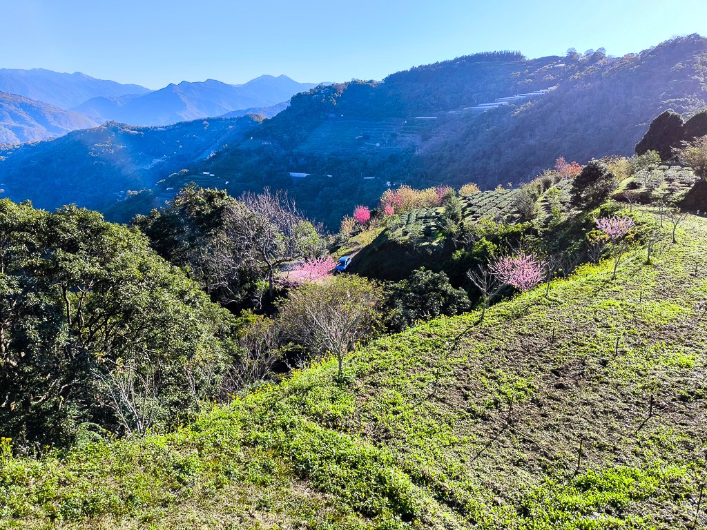 2025-02-16 巴蜈縱走_2714316