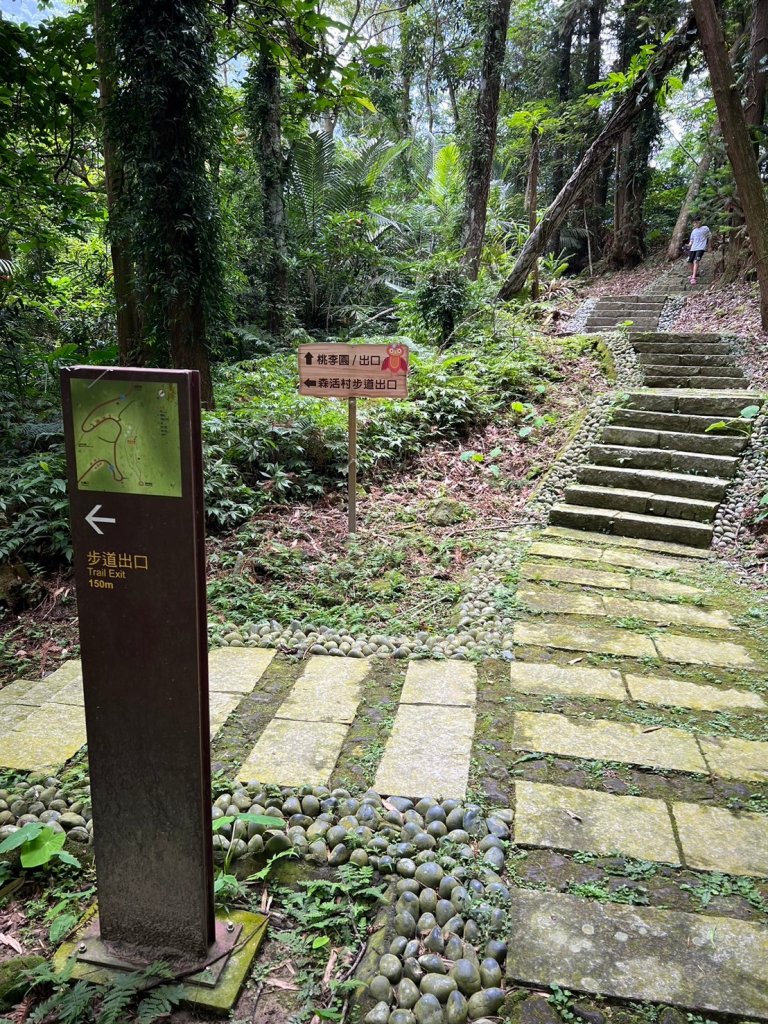 龍美步道 土匪山 公興森態園區_2556386