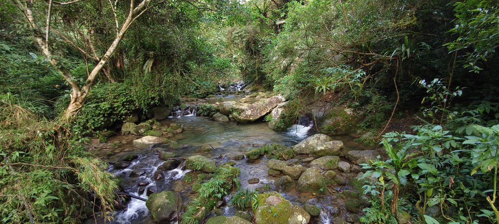 2025/10/26_馬胎古道_2925711