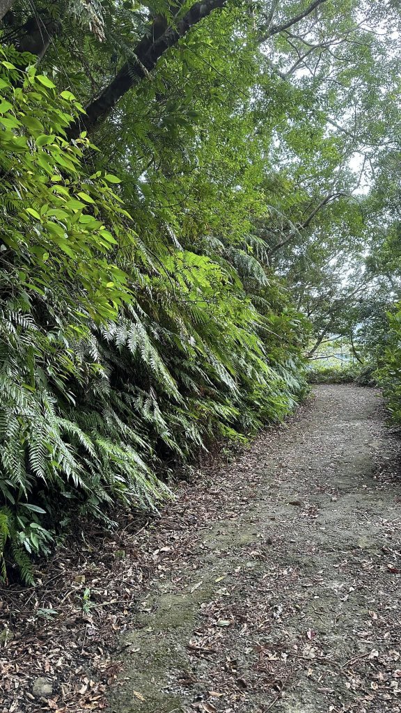 20231029熊空林道_2354608