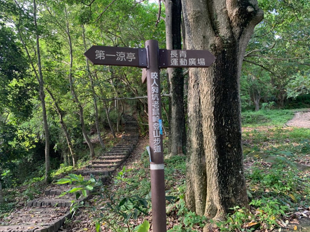 台中市太平區三汀山（小百岳）_1028934