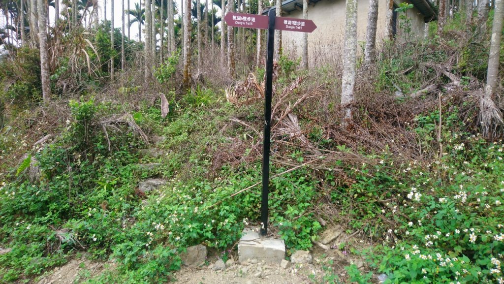 樟湖山、後棟仔山、大尖山、二尖山4山連走_1336983