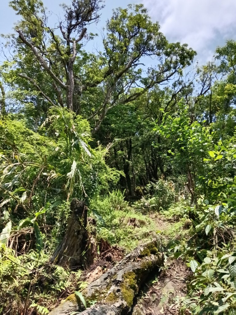 平溪區三功大厝+番子坑山+千階嶺步道O型_2781153