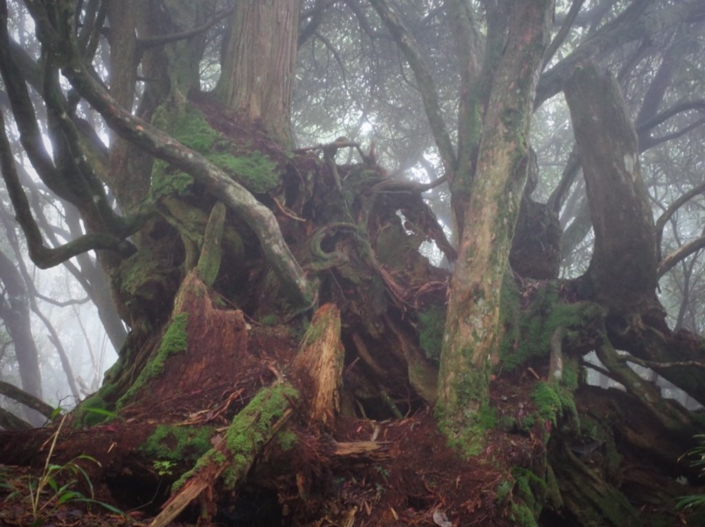 2019/03/23 高島縱走_551326
