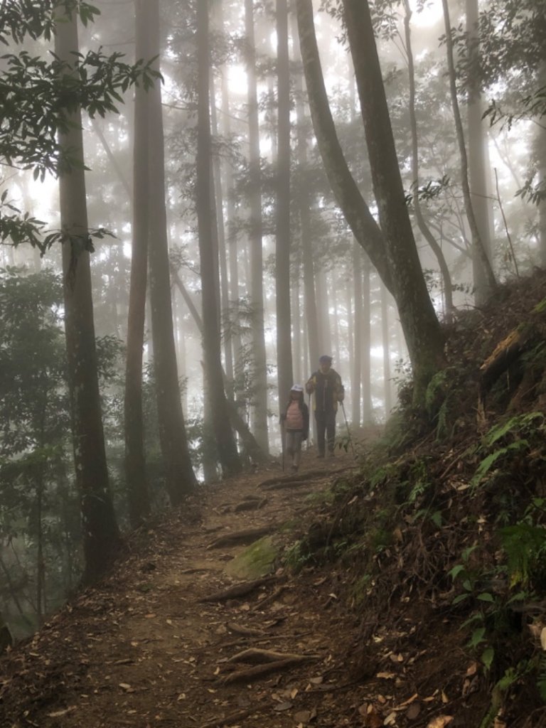 20230208小百岳苗栗加里山_2112857