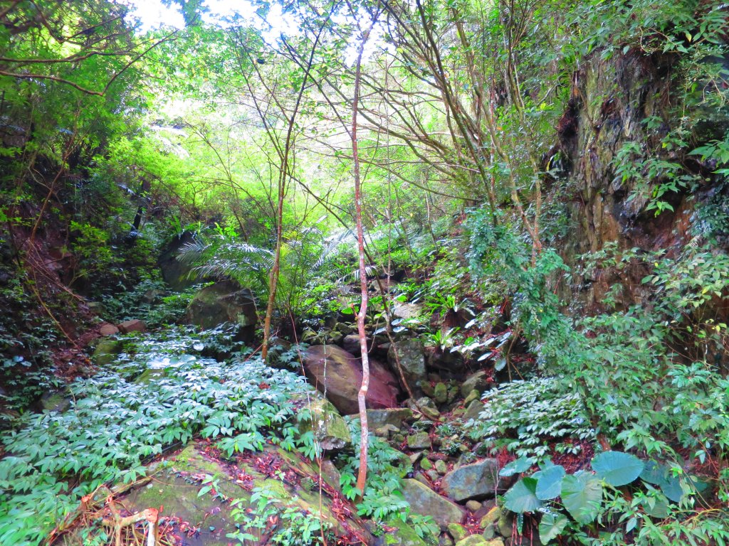 【新竹內灣】馬胎古道_1619672