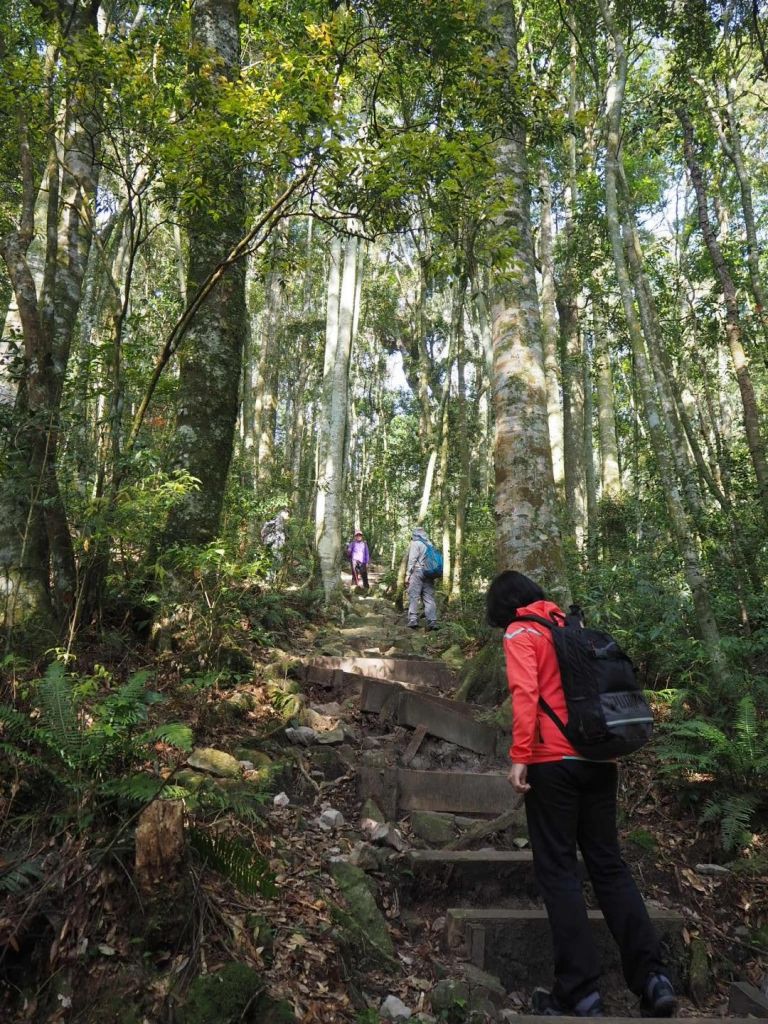 台中鳶嘴山20180406_304855