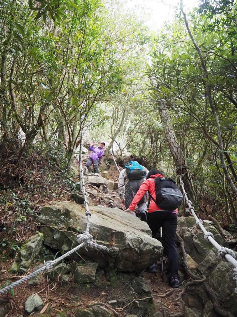 台中鳶嘴山20180406_304853