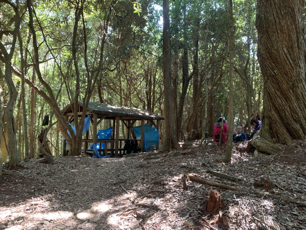 20251018台中八仙山_2921439