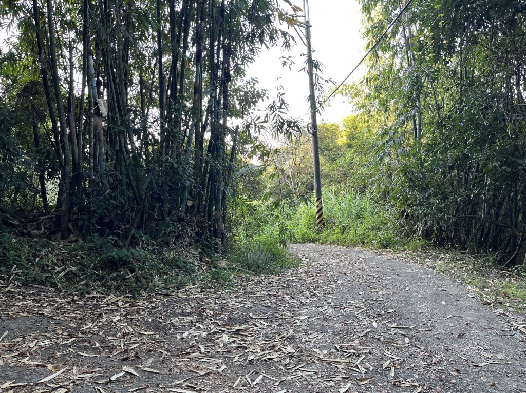 2023_1119 西阿里關山_2353838