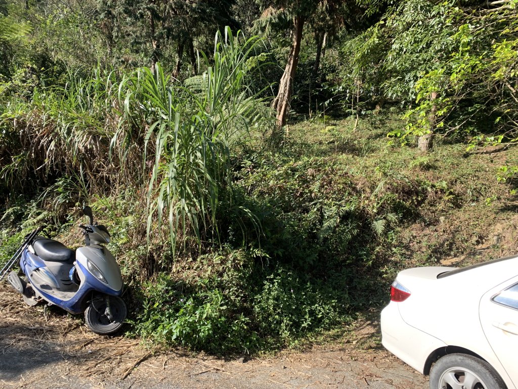 20240212屏東鱈葉根山-日湯真山縱走_2431663