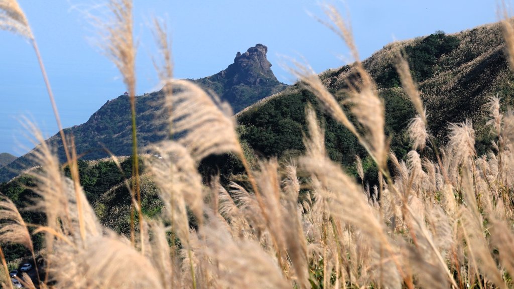 秋季品味古道與芒海的山行在猴硐牡丹山與金瓜石山封面圖