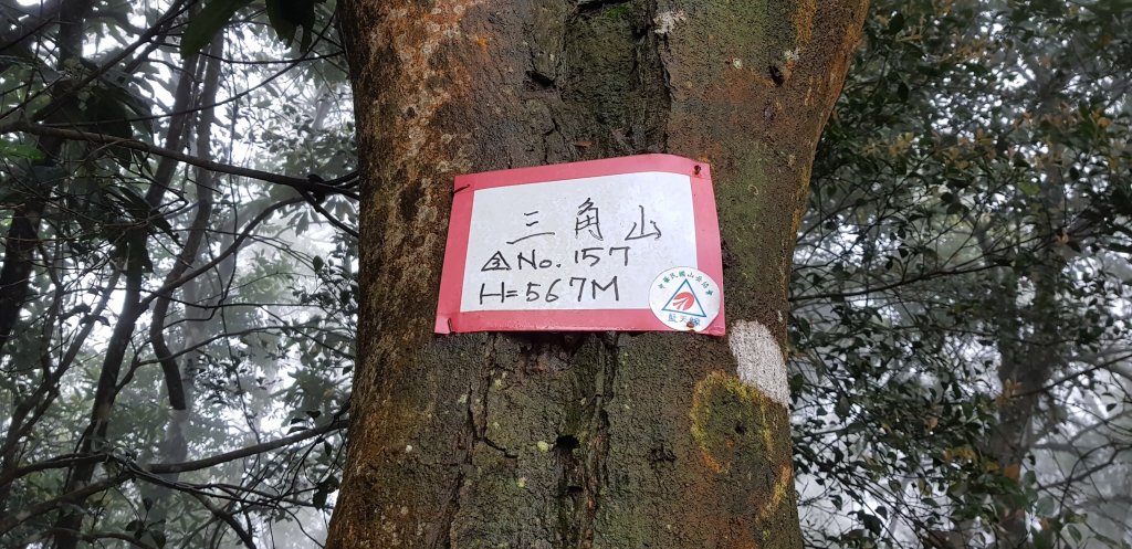 三員縱走之食_551604