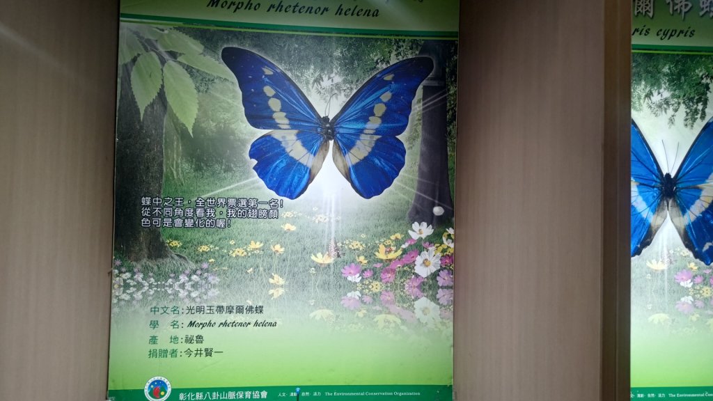 彰化社頭鄉十八彎古道連走中央嶺造林步道、橫山觀日步道、山湖步道_2713362