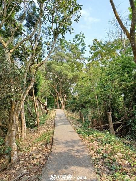 【彰化員林】綠樹林間散散步。 臥龍坡步道_1691269