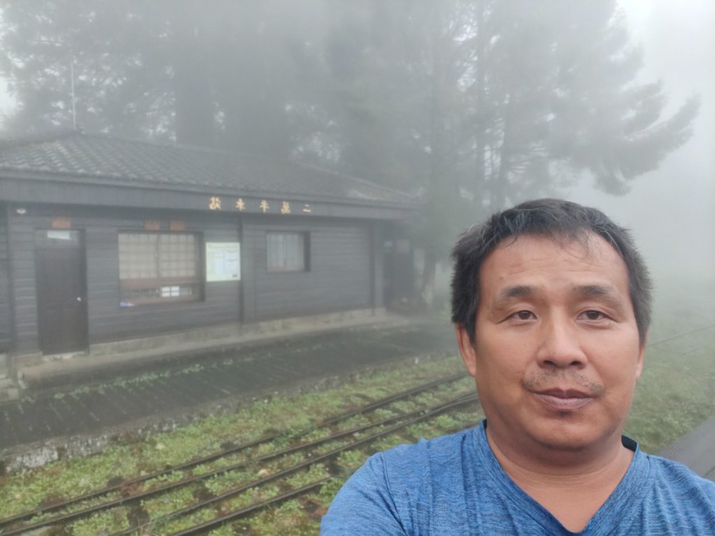 阿里山森林小火車_2865214