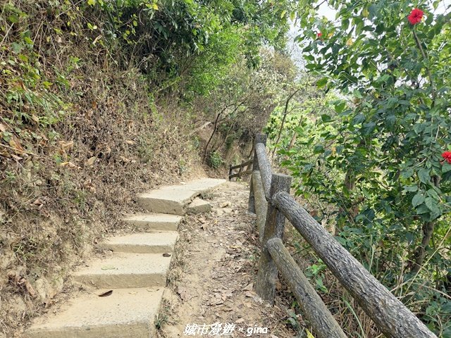 【高雄大社】小百岳大社觀音山步道_3013123