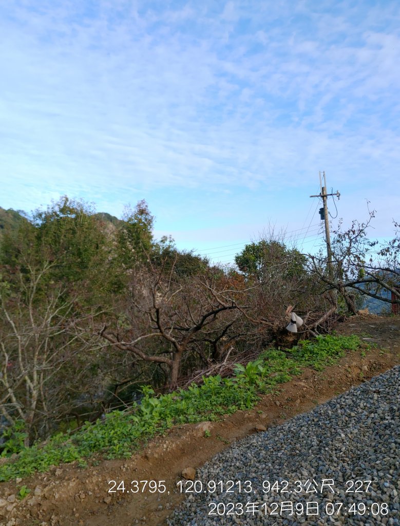 20231209_馬那邦山_2374530