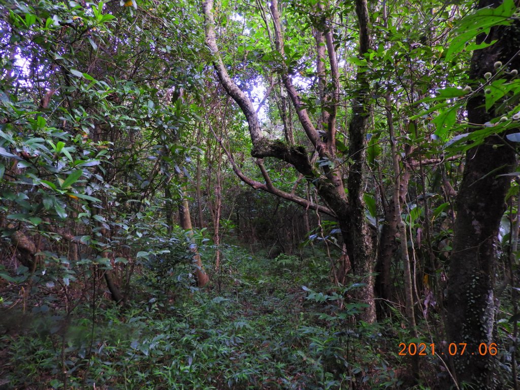 基隆 七堵 仙洞湖山_1422600
