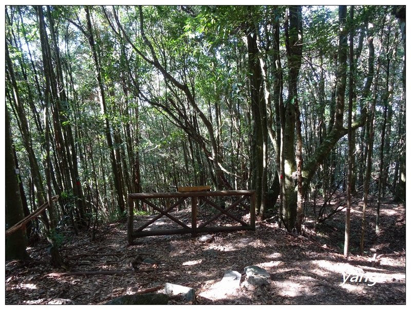 八仙山/松鶴起登_1143417