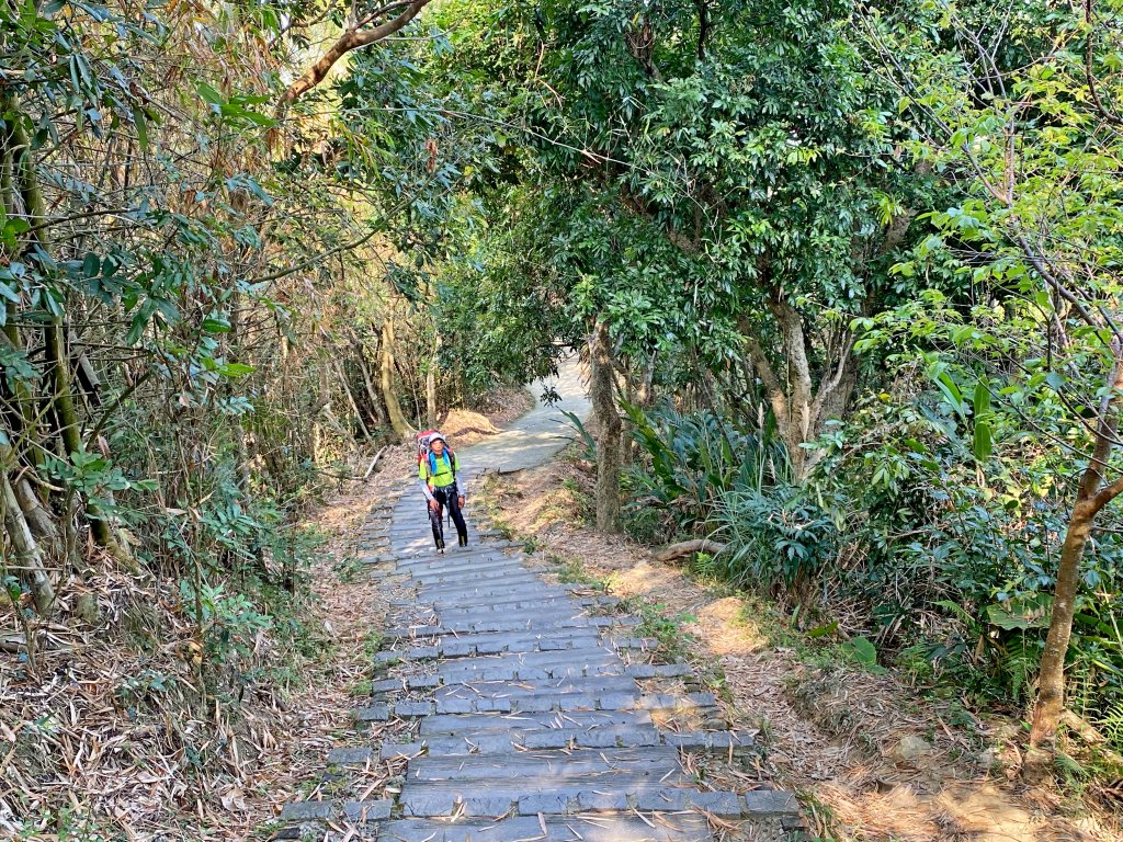 走走後花園三汀山（430步道下）_889851