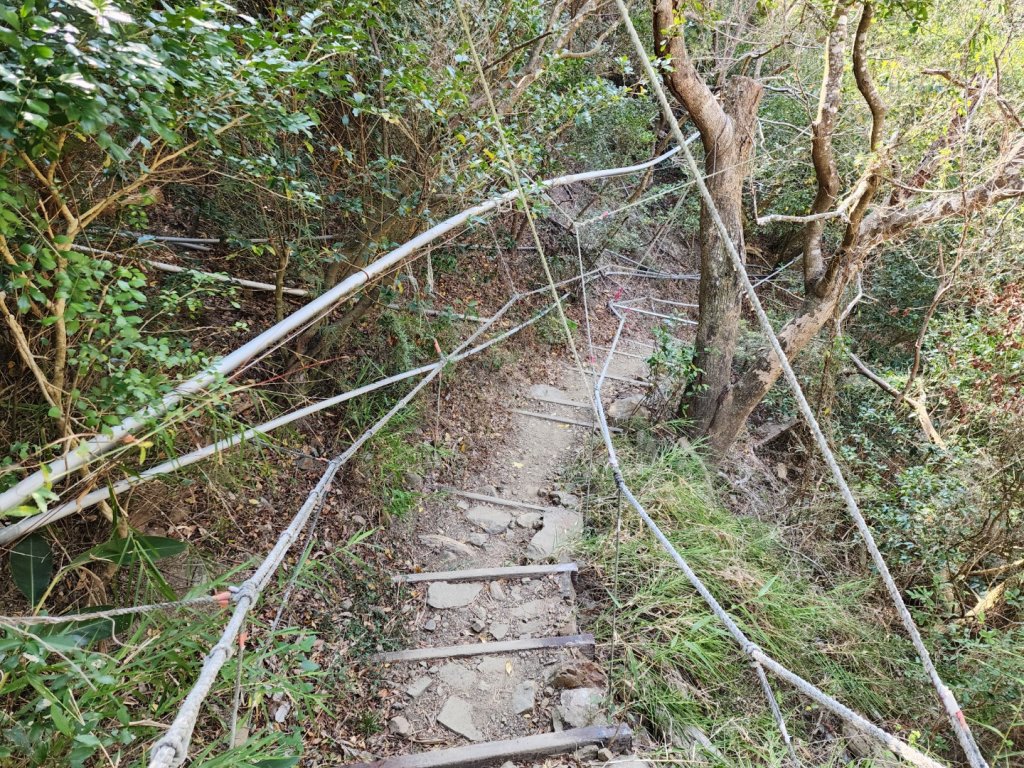 小百岳No.80⛰里龍山_2776331