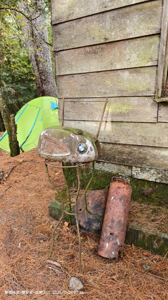 114.11.28-29 雙龍林道~巒安堂~西巒大山_2954887