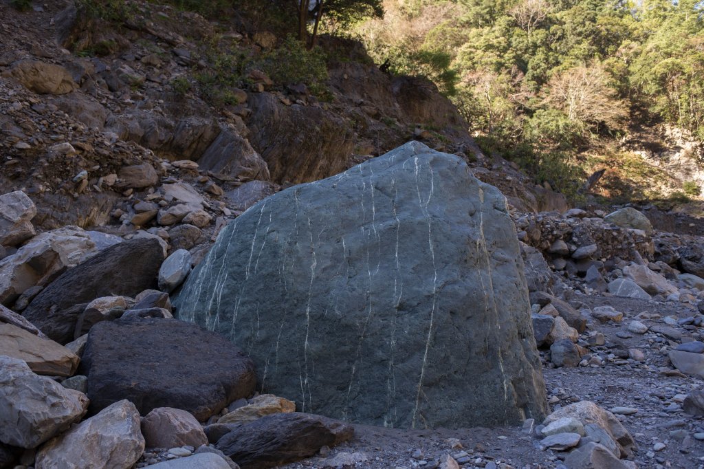 【高雄】多尾蘭山+玉穗山_870656