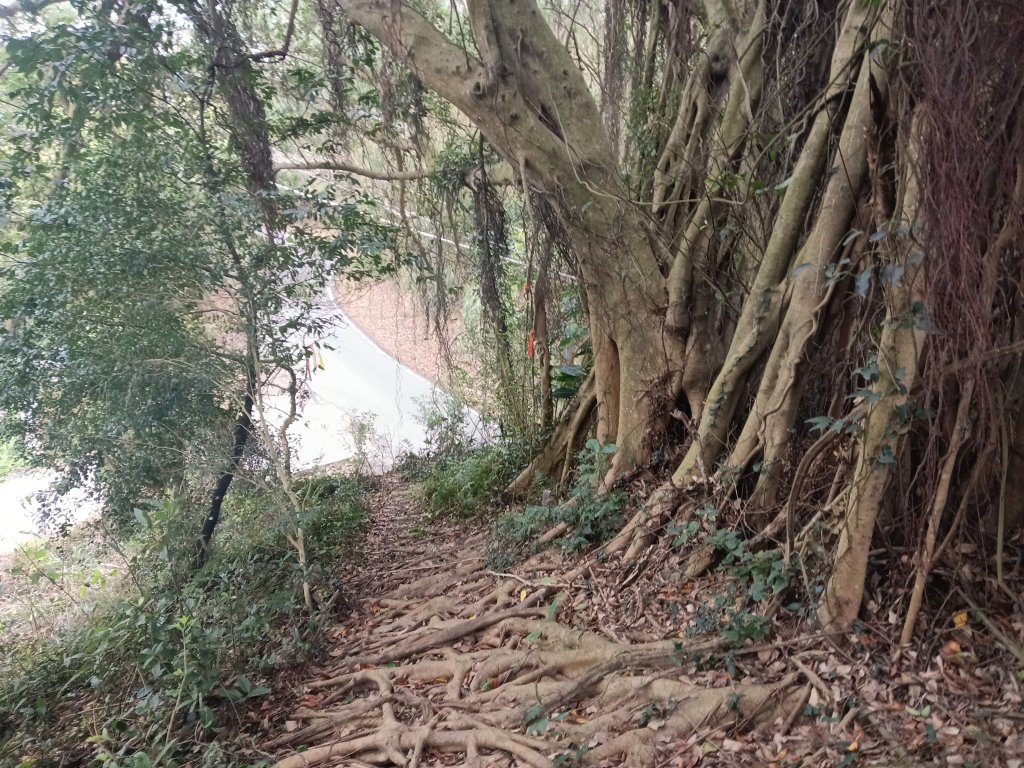 寶山鄉寶山水庫(寶山東峰+中峰+中西峰+西峰+西北峰)+尖山O型_3012505