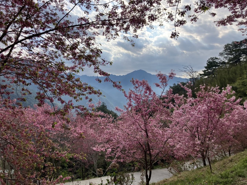 司馬庫斯_2439402