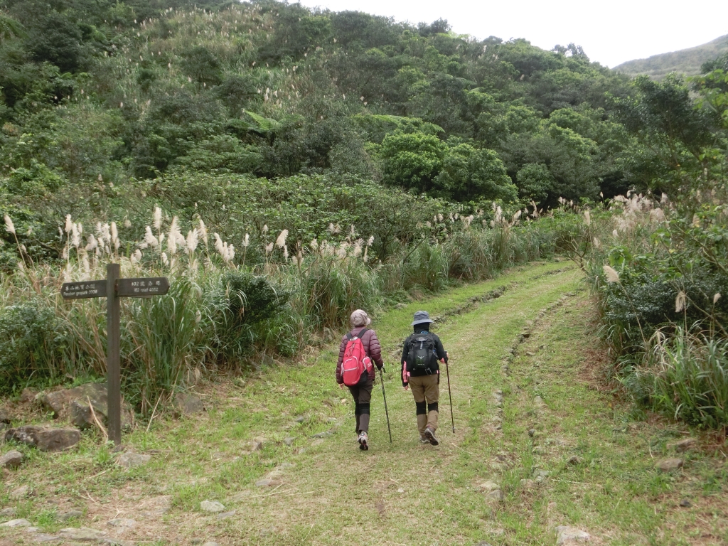 黃金神社．本山地質公園．黃金博物館_92584
