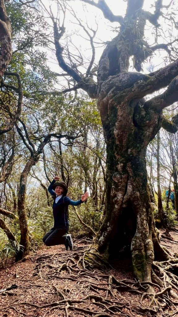 🌈3/15（日）北得拉曼神木+內鳥嘴山✨FB：熊熊趴爬走🌈_3016831