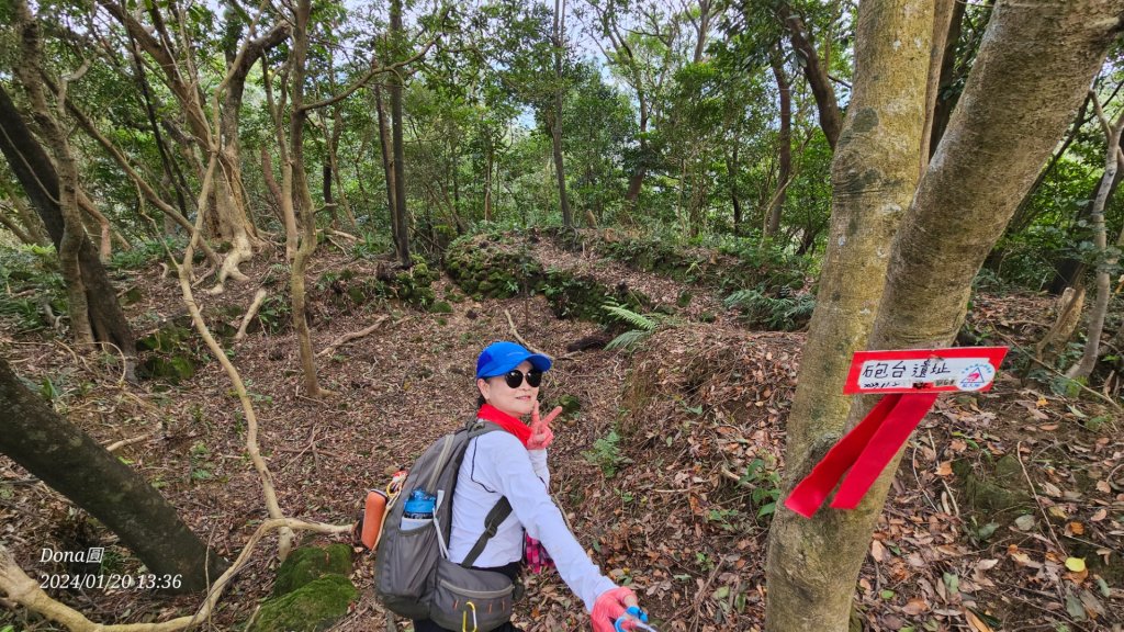 東勢大崙、東勢坑山、觀音湖山O走_2986252