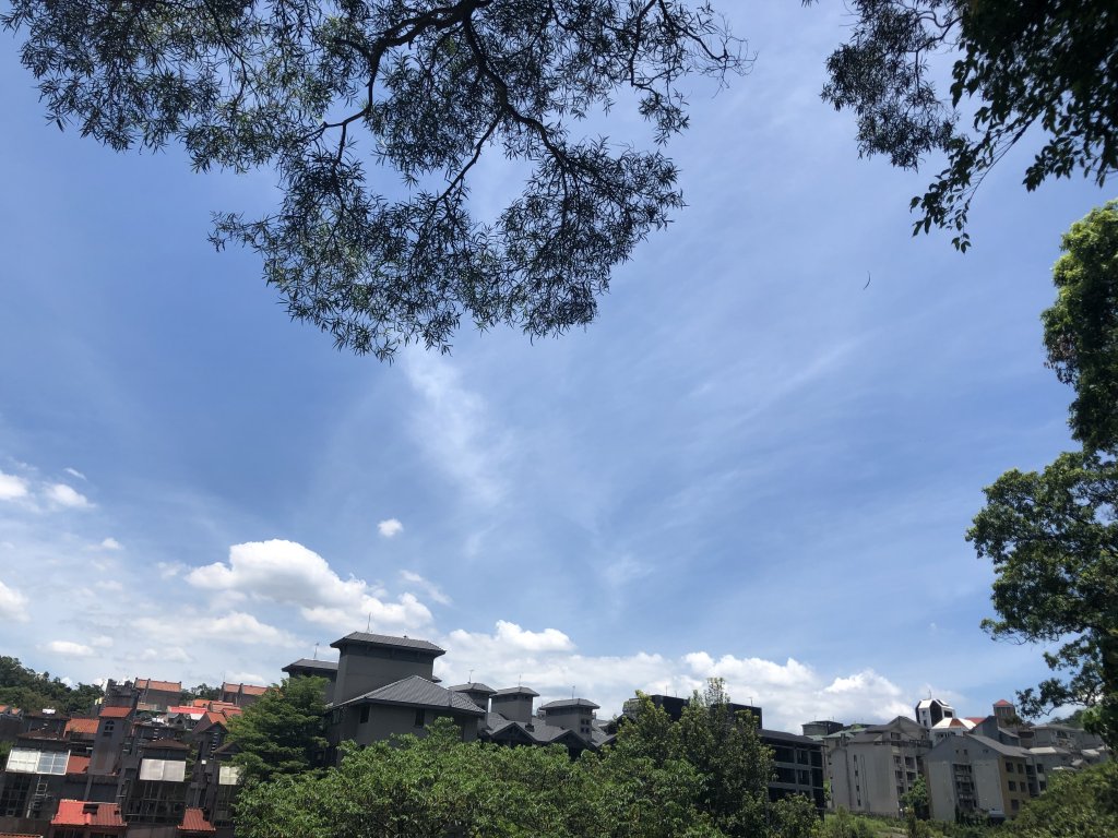 【台北大縱走7】指南宮-貓空-樟樹步道_1046310