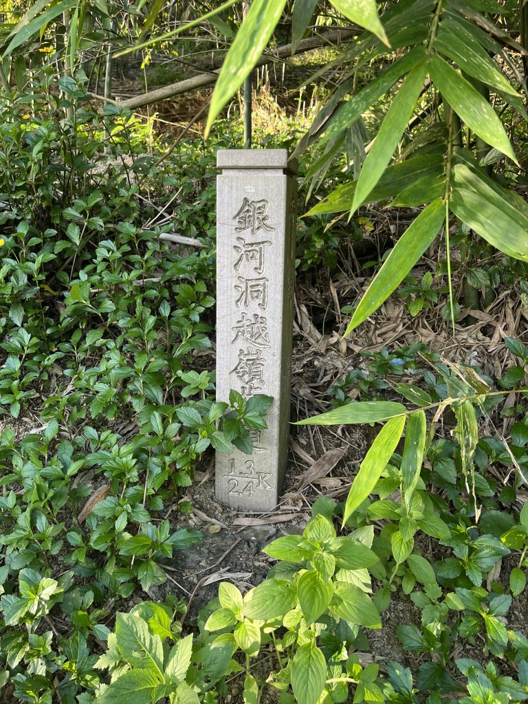 [山頂鳥40周年會員大縱走-08/15] 2024_0715 銀河洞越嶺登山步道_2556747