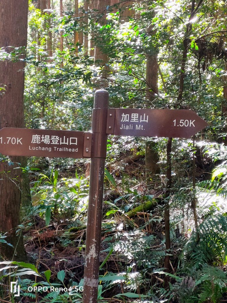 加里山_2931964