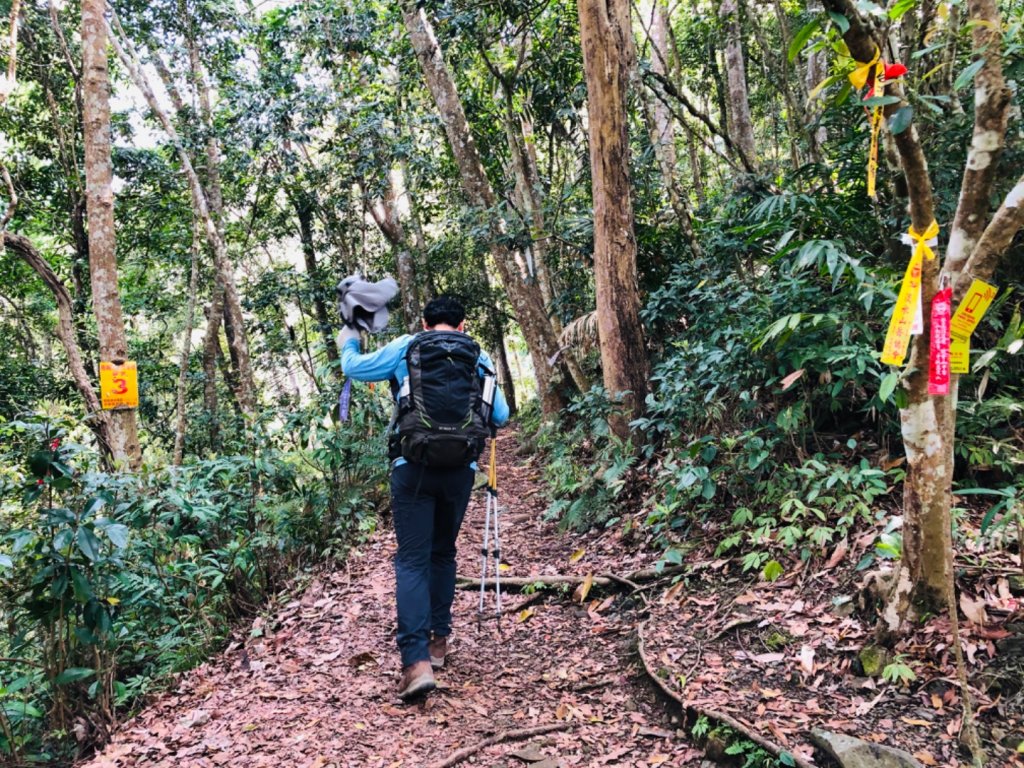 1090307上島山_870906