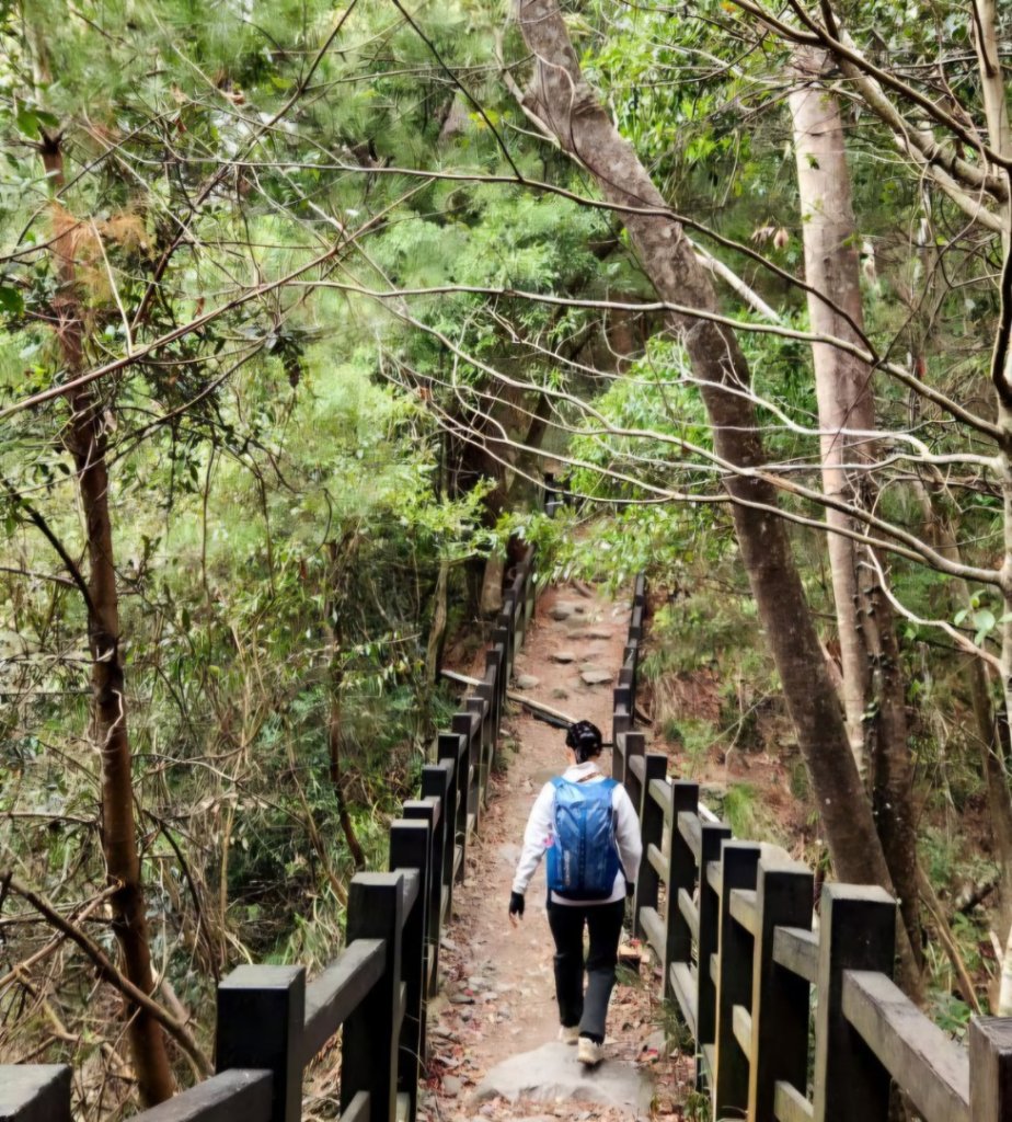 【中級山】谷關七雄波津加山_2742302