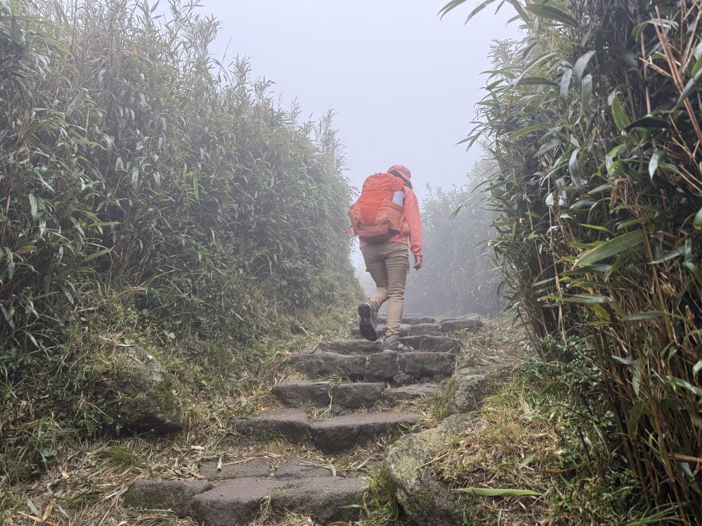 七星山 冷水坑上小油坑下環七星山人車分道O繞 20251108_2934890