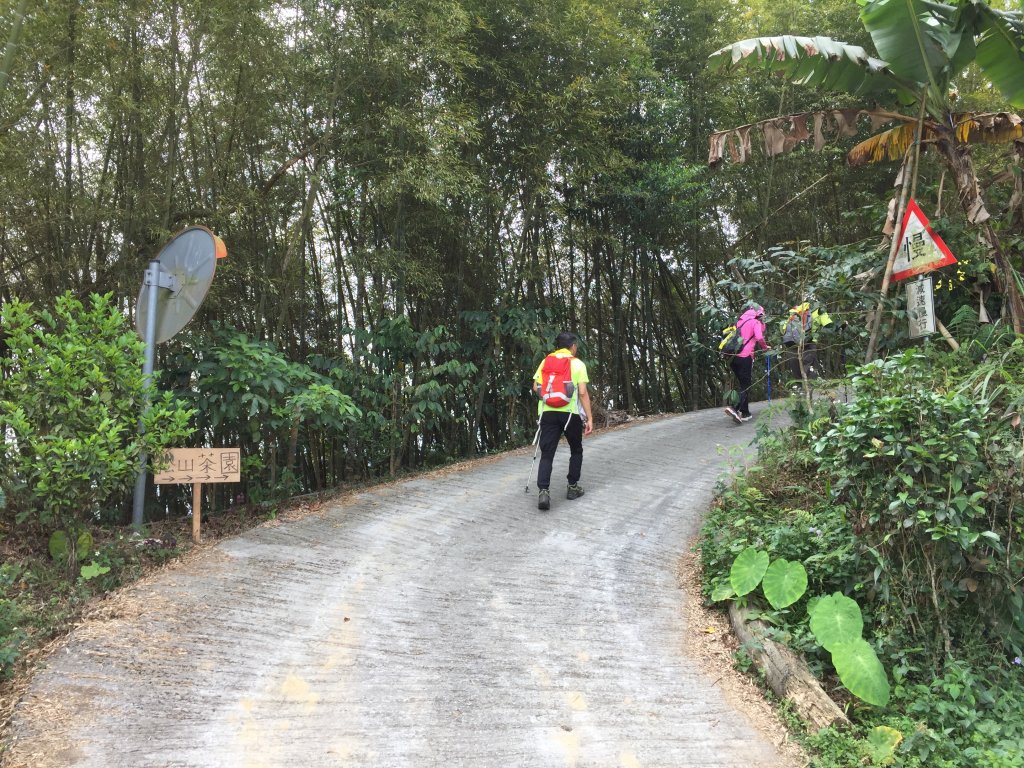 20210417雲林後棟仔山大尖二尖山_1358848