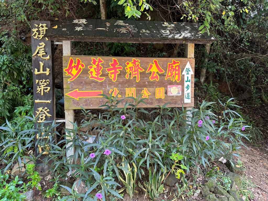 壯麗山河盡覽美景的旗尾山封面圖