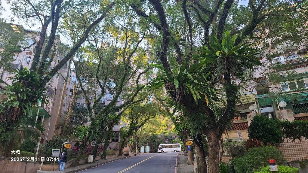 2025-0211造鎮_太極嶺_五城山小段攀爬路線封面圖