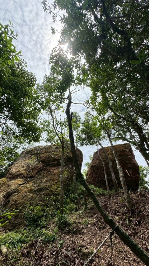 南勢坑山、鑽石峰、人面頭山、獅公髻尾山O走_2809831