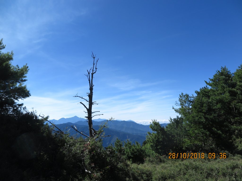 鹿林山及麟趾山_449509