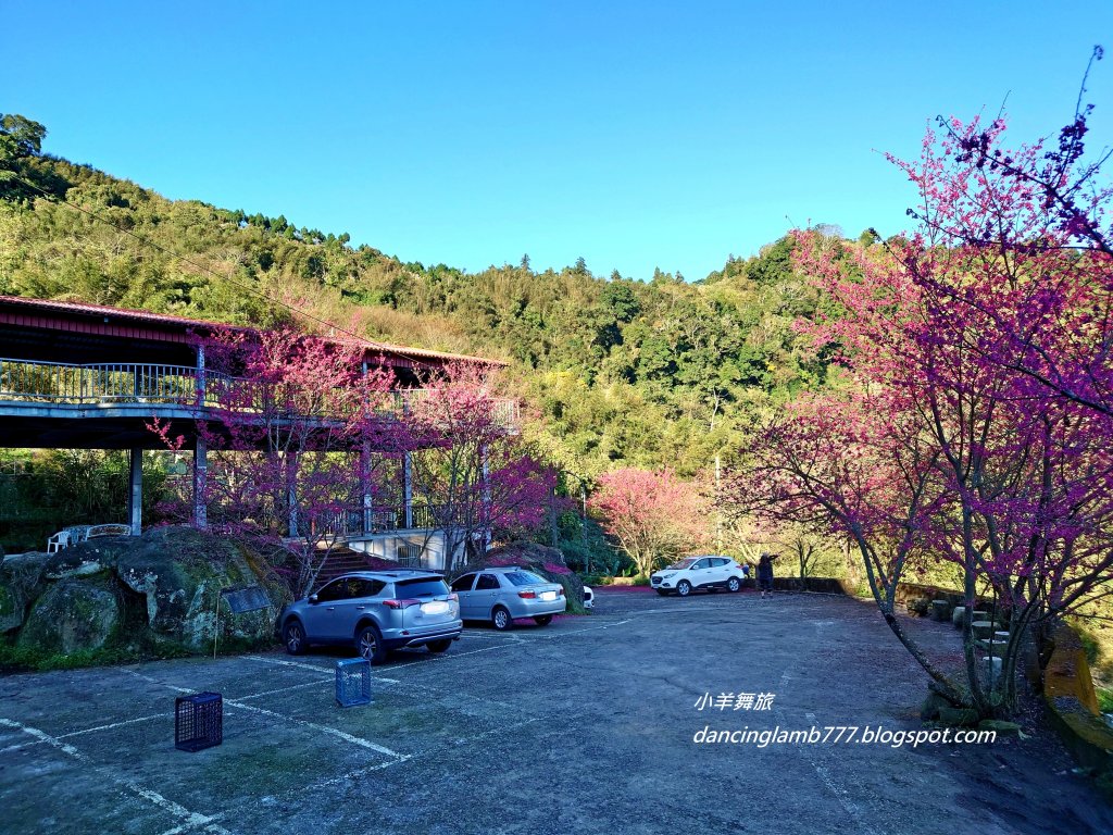 【苗栗】馬那邦山步道~ 聖稜線我終於見到你了_1641928